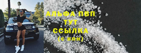 гидра Пионерский